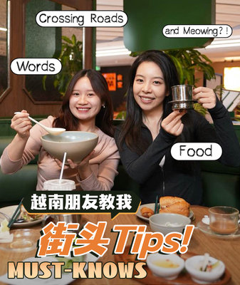 Vietnam_101__Food__Phrases___Street_Survival_Secrets video poster