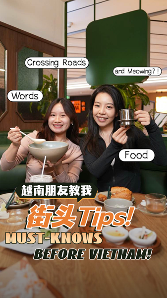 Vietnam_101__Food__Phrases___Street_Survival_Secrets_poster - My Global News: Voices of a New Era Vietnam_101__Food__Phrases___Street_Survival_Secrets video poster