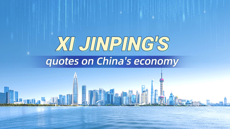 Xi_Jinping_Reaffirms_Resilient_Growth_and_Global_Economic_Commitment