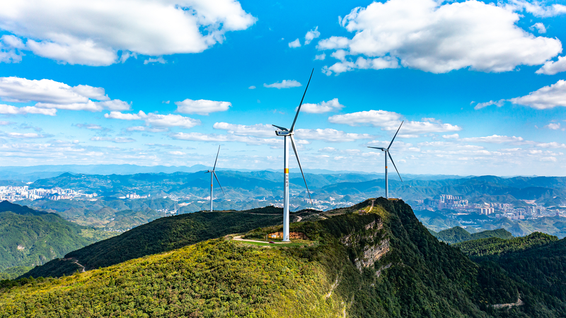Xi_Pledges_Unwavering_Climate_Action_at_Virtual_Summit