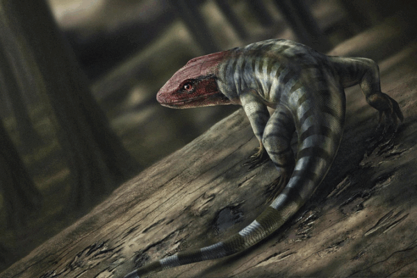 350-Million-Year-Old Footprints Reshape Land Animal Evolution 350_Million_Year_Old_Footprints_Reshape_Land_Animal_Evolution