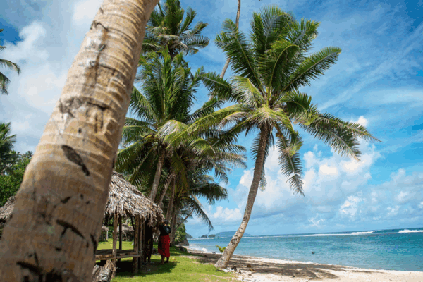 Win-Win Economics: Chinese Mainland’s South Pacific Partnerships Take Center Stage Win-Win Economics: Chinese Mainland’s South Pacific Partnerships Take Center Stage