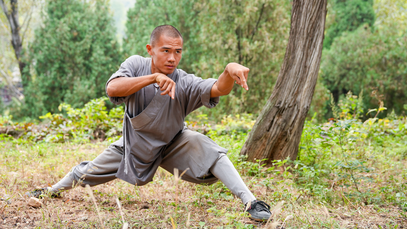 Shaolin’s Animal-Imitation Boxing: Nature’s Martial Wisdom Shaolin’s Animal-Imitation Boxing: Nature’s Martial Wisdom