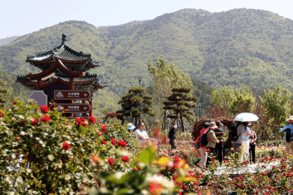 AI Meets Blossoms: How Rose Tech is Blooming Tourism in Beijing AI_Meets_Blossoms__How_Rose_Tech_is_Blooming_Tourism_in_Beijing