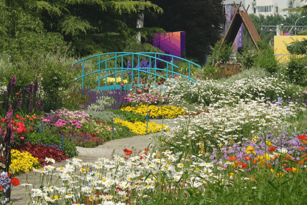 Beijing’s Haidian Park Transforms into a Living Monet Garden Beijing_s_Haidian_Park_Transforms_into_a_Living_Monet_Garden