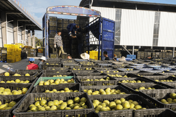 Beyond Scenery: Guilin’s Trade Resilience Hits 11.39B Yuan Beyond_Scenery__Guilin_s_Trade_Resilience_Hits_11_39B_Yuan