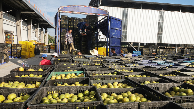 Beyond_Scenery__Guilin_s_Trade_Resilience_Hits_11_39B_Yuan