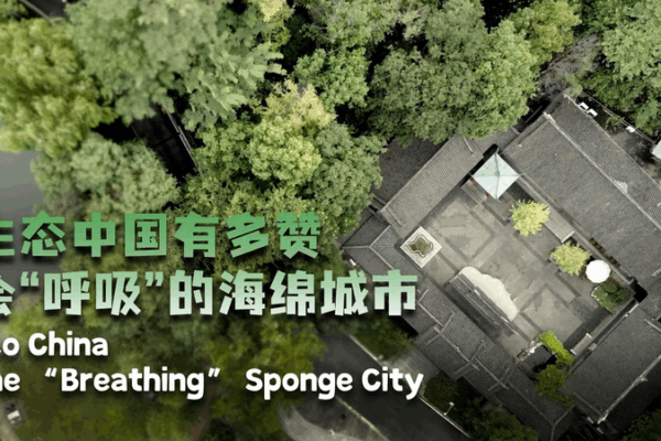 Bishan’s Breathing Sponge City: Green Tech Rewrites Urban Drainage Bishan_s_Breathing_Sponge_City__Green_Tech_Rewrites_Urban_Drainage video poster