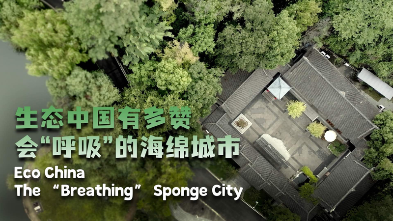 Bishan_s_Breathing_Sponge_City__Green_Tech_Rewrites_Urban_Drainage video poster