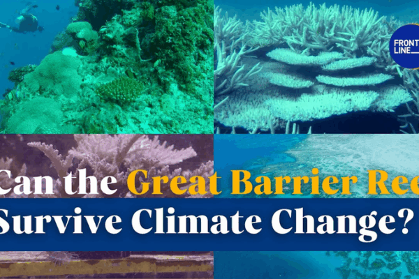 Can the Great Barrier Reef Survive Climate Change? Can_the_Great_Barrier_Reef_Survive_Climate_Change_ video poster