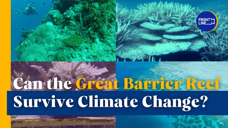 Can_the_Great_Barrier_Reef_Survive_Climate_Change__poster - My Global News: Voices of a New Era Can_the_Great_Barrier_Reef_Survive_Climate_Change_ video poster