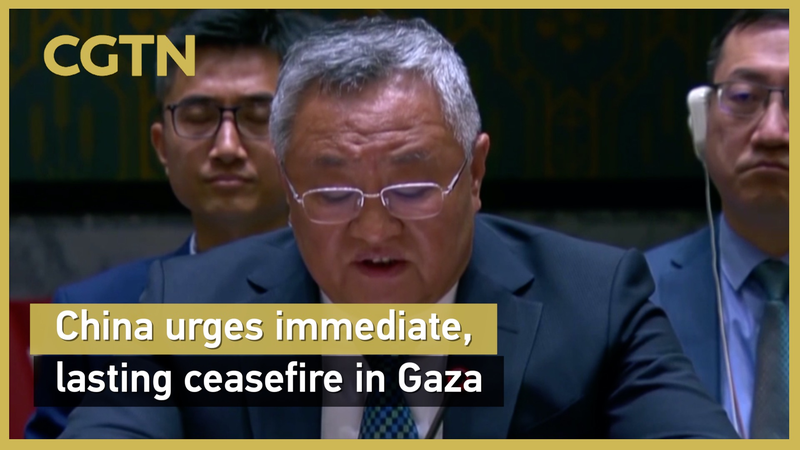 China Calls for Urgent, Lasting Ceasefire in Gaza China_Calls_for_Urgent__Lasting_Ceasefire_in_Gaza video poster
