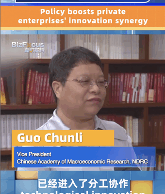 China Unveils Guidelines to Boost Private Enterprise Innovation Synergy China_Unveils_Guidelines_to_Boost_Private_Enterprise_Innovation_Synergy video poster