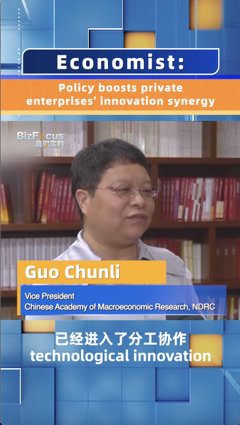 China_Unveils_Guidelines_to_Boost_Private_Enterprise_Innovation_Synergy_poster - My Global News: Voices of a New Era China_Unveils_Guidelines_to_Boost_Private_Enterprise_Innovation_Synergy video poster