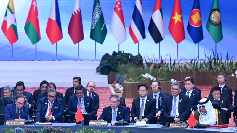 China__ASEAN_and_GCC_Pledge_Deeper_Cross_Regional_Cooperation