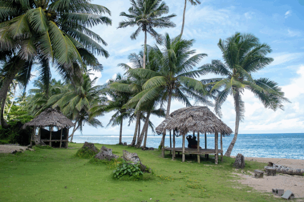 China, Pacific Islands Launch Green Alliance for Climate Resilience China__Pacific_Islands_Launch_Green_Alliance_for_Climate_Resilience