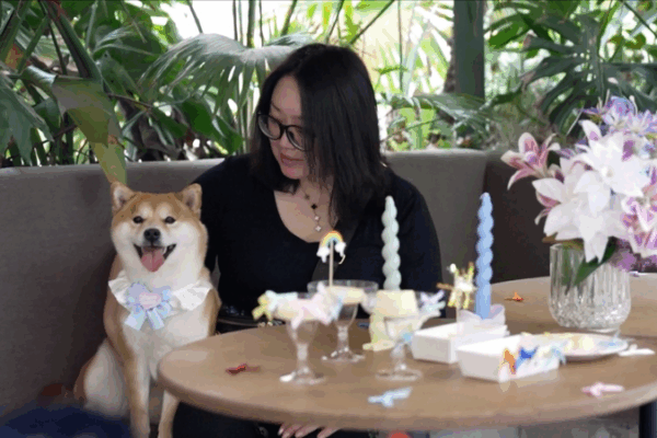China’s New Pet Scene: Dog-Only Restaurants & Innovative Day Care China_s_New_Pet_Scene__Dog_Only_Restaurants___Innovative_Day_Care video poster