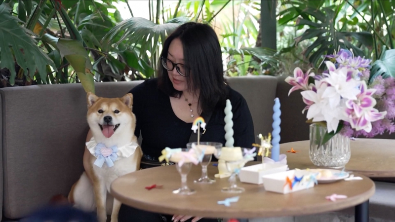 China_s_New_Pet_Scene__Dog_Only_Restaurants___Innovative_Day_Care video poster
