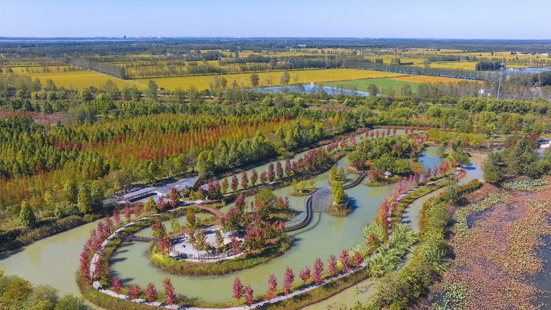 Chinese_Mainland_Launches_903_National_Wetland_Parks_in_20_Years - My Global News: Voices of a New Era Chinese_Mainland_Launches_903_National_Wetland_Parks_in_20_Years