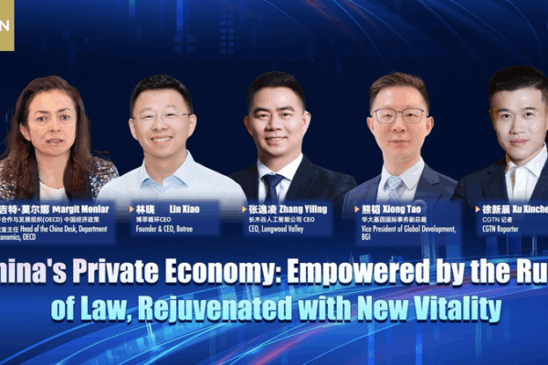 Chinese Mainland Launches Private Sector Promotion Law Chinese_Mainland_Launches_Private_Sector_Promotion_Law video poster