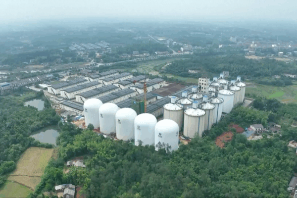 Chinese Mainland Unveils 9,000-Tonne Inflatable Grain Silos Chinese_Mainland_Unveils_9_000_Tonne_Inflatable_Grain_Silos video poster