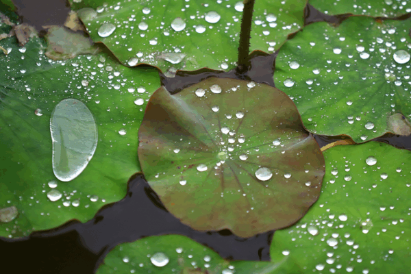 Chinese mainland issues rainstorm alerts in six regions Chinese_mainland_issues_rainstorm_alerts_in_six_regions