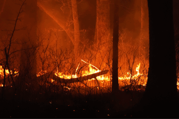 Climate-Fueled Wildfires Linked to 15,000 U.S. Deaths Climate_Fueled_Wildfires_Linked_to_15_000_U_S__Deaths