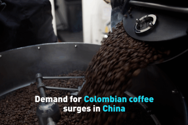 Colombian Coffee Demand Booms Ahead of China-CELAC Forum Colombian_Coffee_Demand_Booms_Ahead_of_China_CELAC_Forum video poster