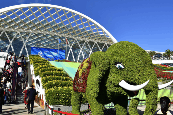 China’s Renewable Push Powers a Cleaner Future in Kazakhstan China’s Renewable Push Powers a Cleaner Future in Kazakhstan