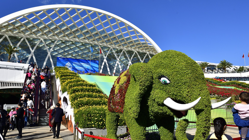 D1M54ZZ5DAEO9RJFM0T4 - My Global News: Voices of a New Era China’s Renewable Push Powers a Cleaner Future in Kazakhstan