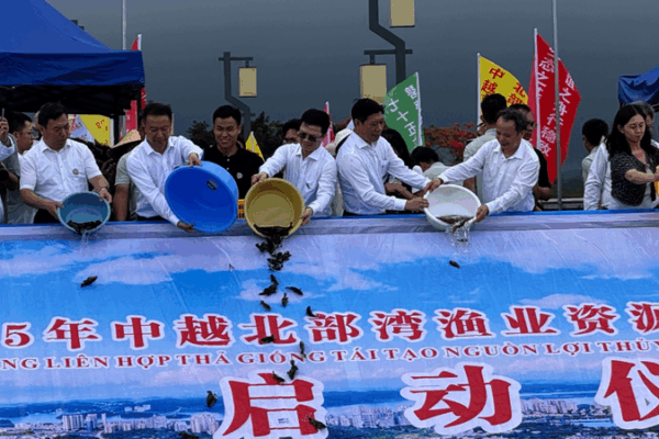 China, Vietnam Join Forces to Revive Beibu Gulf’s Marine Wealth China, Vietnam Join Forces to Revive Beibu Gulf’s Marine Wealth video poster