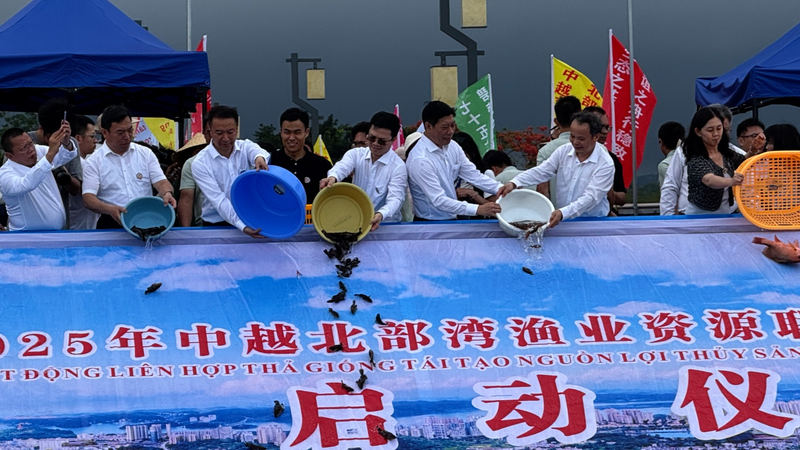 China, Vietnam Join Forces to Revive Beibu Gulf’s Marine Wealth video poster