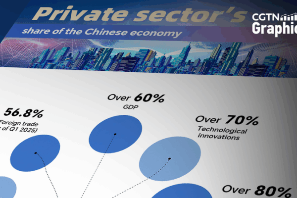 First Private Sector Promotion Law to Spark Growth on the Chinese Mainland First_Private_Sector_Promotion_Law_to_Spark_Growth_on_the_Chinese_Mainland