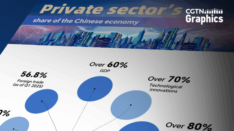 First_Private_Sector_Promotion_Law_to_Spark_Growth_on_the_Chinese_Mainland
