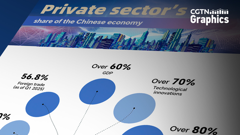 First_Private_Sector_Promotion_Law_to_Spark_Growth_on_the_Chinese_Mainland - My Global News: Voices of a New Era First_Private_Sector_Promotion_Law_to_Spark_Growth_on_the_Chinese_Mainland