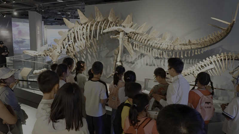 From Owl Pellets to Big Ideas: How Chinese Museums Inspire Hands-On Learning From_Owl_Pellets_to_Big_Ideas__How_Chinese_Museums_Inspire_Hands_On_Learning video poster