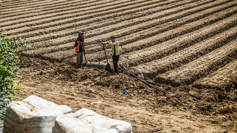 Gaza_s_Arable_Land_Plummets_Below_5___UN_Sounds_Alarm_on_Food_Security