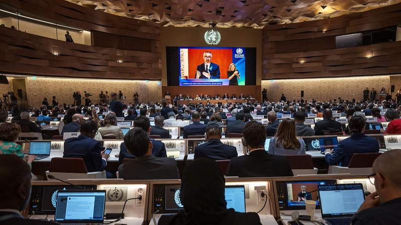 Geneva_Hosts_78th_WHO_Assembly__One_World_for_Health