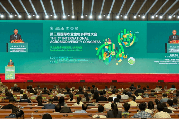 Global Experts Gather in Yunnan to Advance Agrobiodiversity Global_Experts_Gather_in_Yunnan_to_Advance_Agrobiodiversity