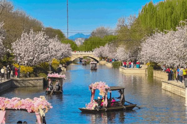 Green is Gold: Chinese mainland’s Record 290 Clean Air Days in 2024 Green_is_Gold__Chinese_mainland_s_Record_290_Clean_Air_Days_in_2024