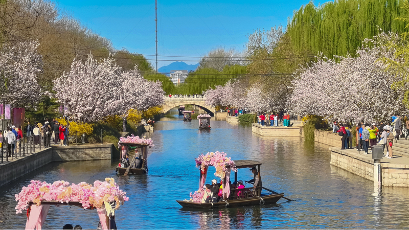 Green_is_Gold__Chinese_mainland_s_Record_290_Clean_Air_Days_in_2024
