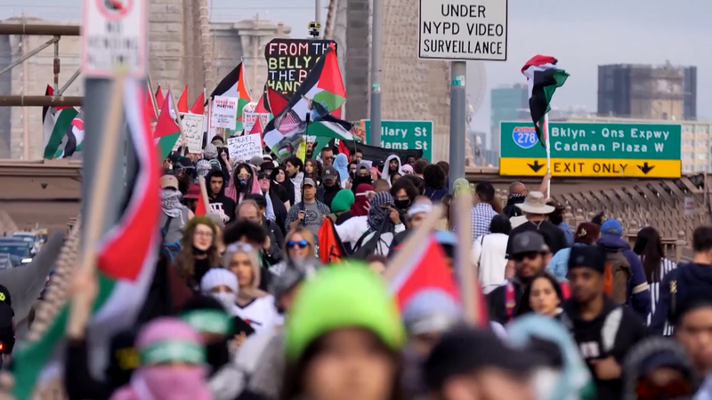 Hundreds Rally in NYC for Nakba Anniversary Amid Gaza Crisis Hundreds_Rally_in_NYC_for_Nakba_Anniversary_Amid_Gaza_Crisis video poster