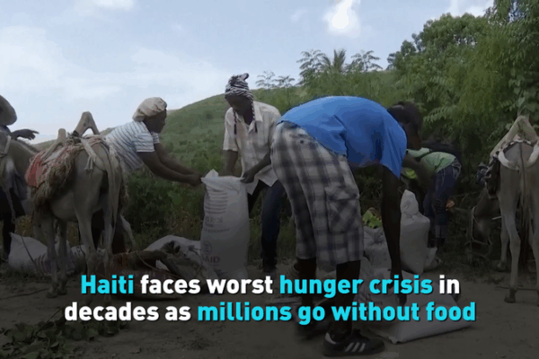 Haiti’s Worst Hunger Crisis in Decades Puts Millions at Risk Haiti’s Worst Hunger Crisis in Decades Puts Millions at Risk video poster
