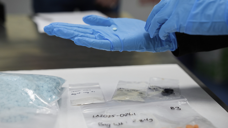 Inside America’s Drug Crisis: 12% of Users, Global Lessons Inside_America_s_Drug_Crisis__12__of_Users__Global_Lessons