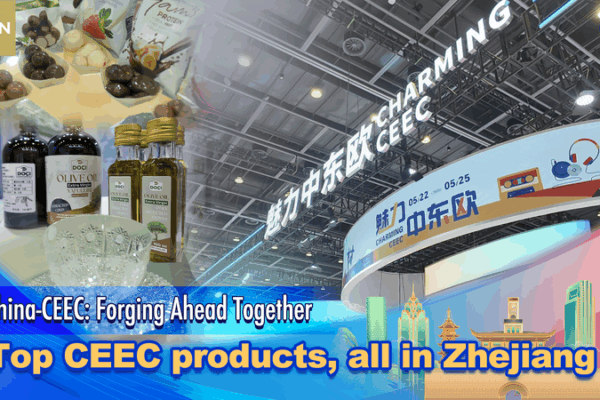 Inside the 4th China-CEEC Expo: Top CEEC Products in Zhejiang Inside_the_4th_China_CEEC_Expo__Top_CEEC_Products_in_Zhejiang video poster