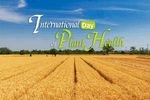 International Day of Plant Health: Why It Matters International_Day_of_Plant_Health__Why_It_Matters