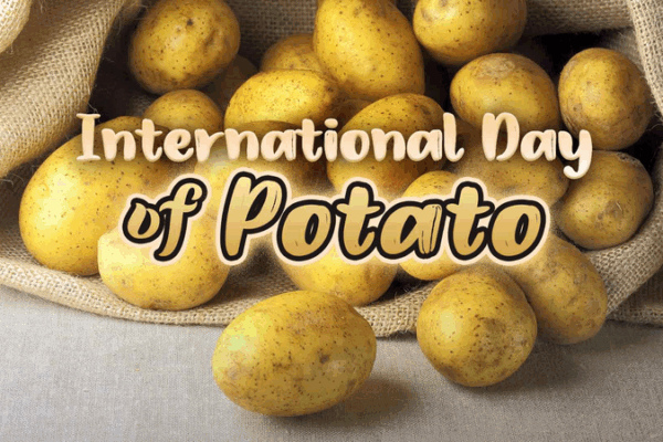 International Day of Potato: Why This Tuber Matters International_Day_of_Potato__Why_This_Tuber_Matters
