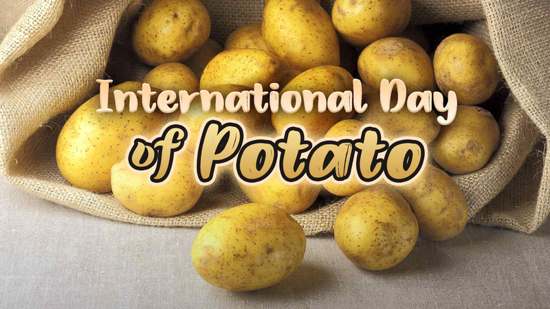International_Day_of_Potato__Why_This_Tuber_Matters - My Global News: Voices of a New Era International_Day_of_Potato__Why_This_Tuber_Matters