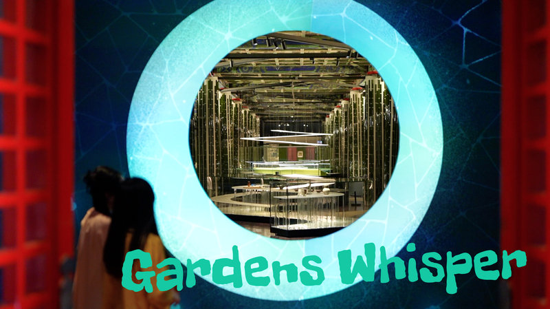 Beijing’s Palace Museum Unveils Gardens as Global Muse Beijing’s Palace Museum Unveils Gardens as Global Muse video poster