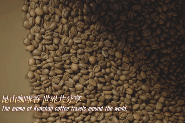 Kunshan Coffee Brews the Future: Precision and Innovation in Every Cup Kunshan_Coffee_Brews_the_Future__Precision_and_Innovation_in_Every_Cup